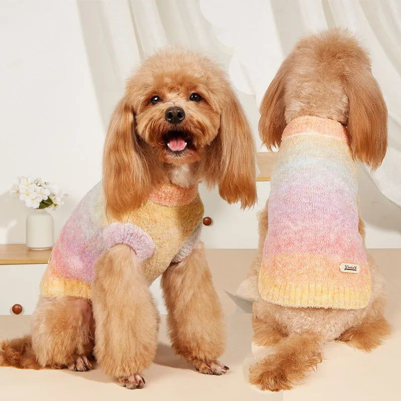 Rainbow circle design dopamine-style pet sweater in wool acrylic blend fabric