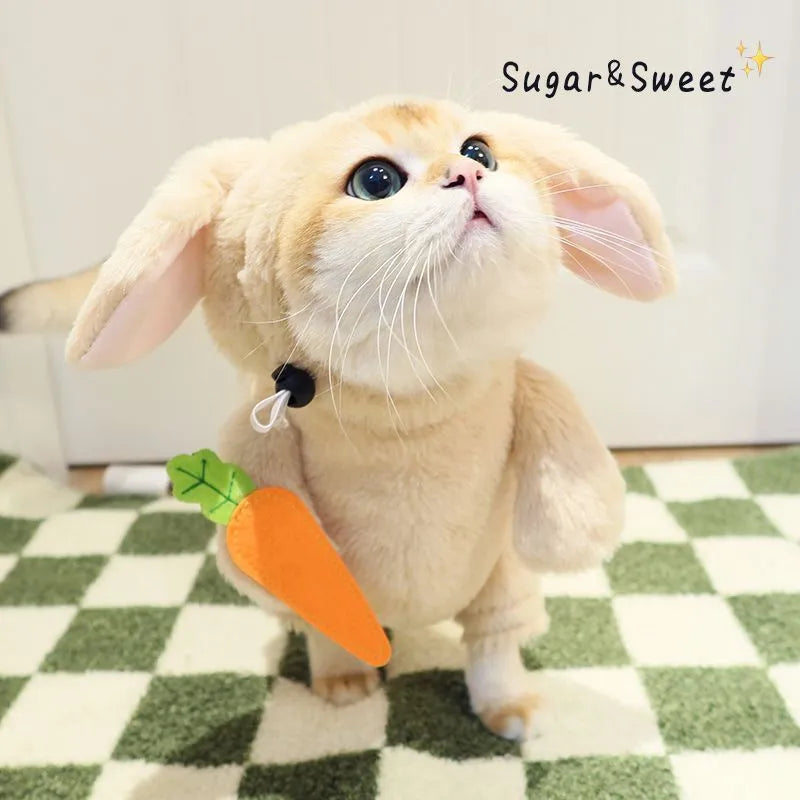 Cat and dog costume set with radish rabbit or bamboo panda clothes and carrot prop for spring and autumn