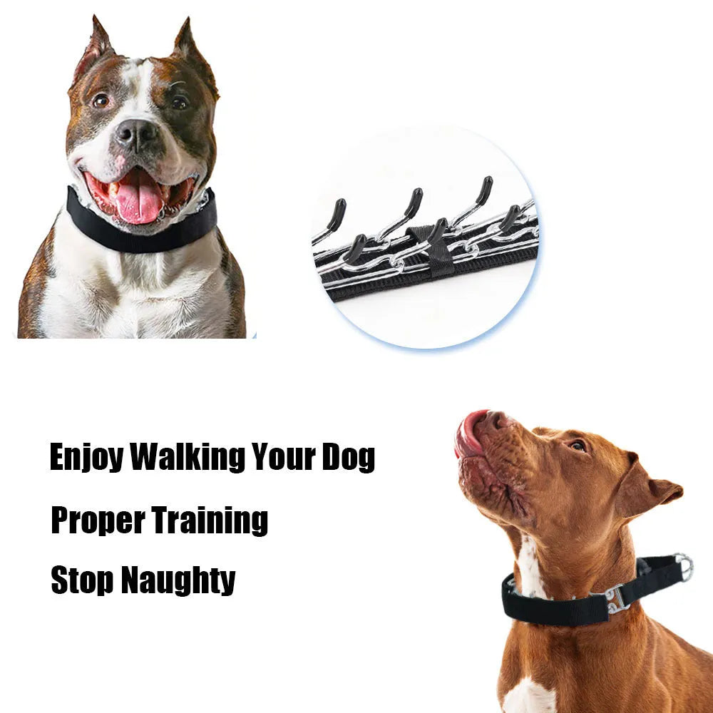 Dog training chain collar with adjustable spike design in reflective blue colour option