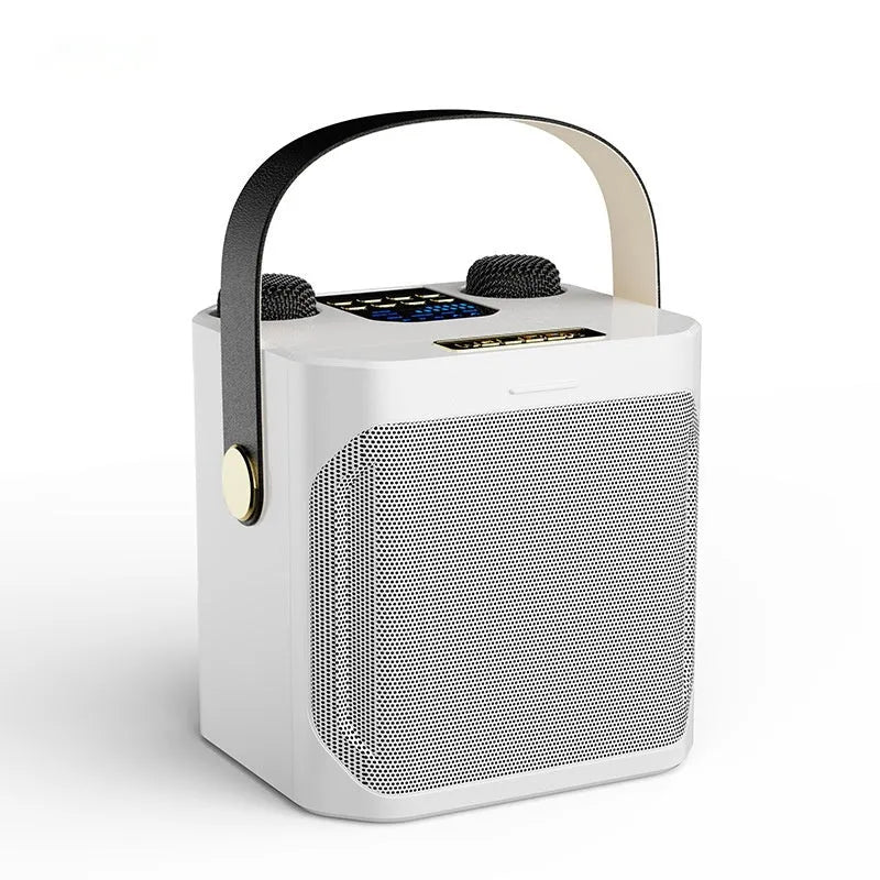 Dual stereo portable karaoke speaker box with two microphones, white or black, 143x168x171mm