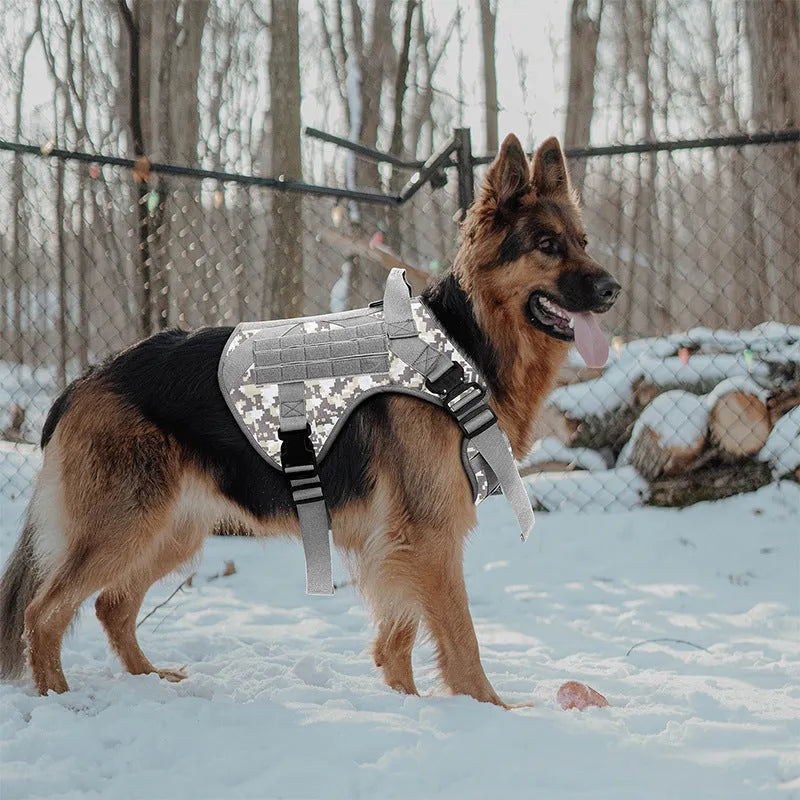 Large tactics camouflage dog harness with quick-release buckles and adjustable straps on a German Shepherd
