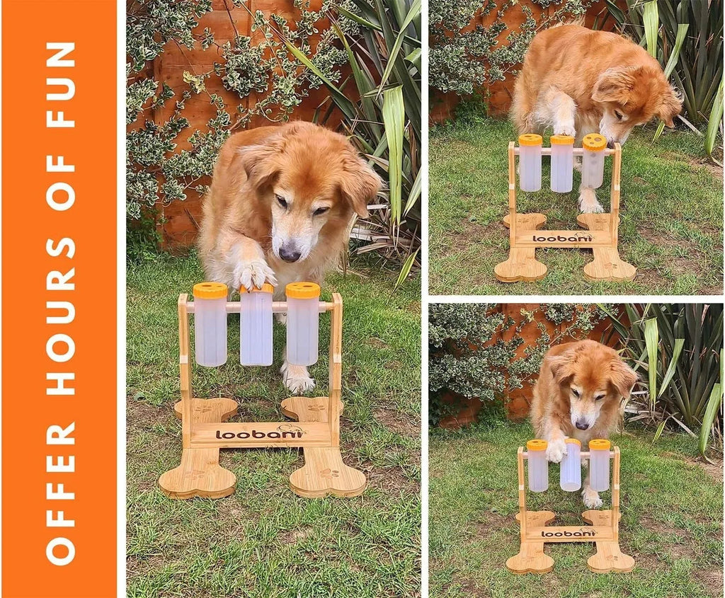 Wood colour wooden interactive dog puzzle feeder toy with dimensions 31x30x20cm