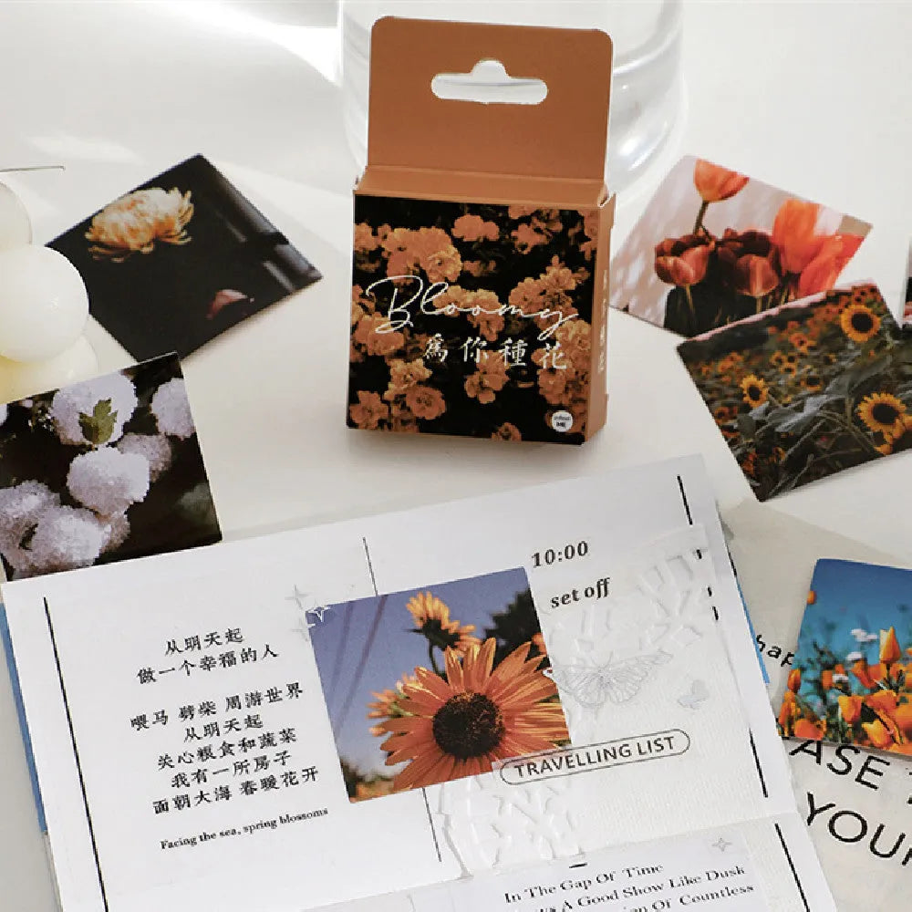 Box of six Nordic-themed decorative sticker sheets showing patterns like roses, flowers, and abstract designs.