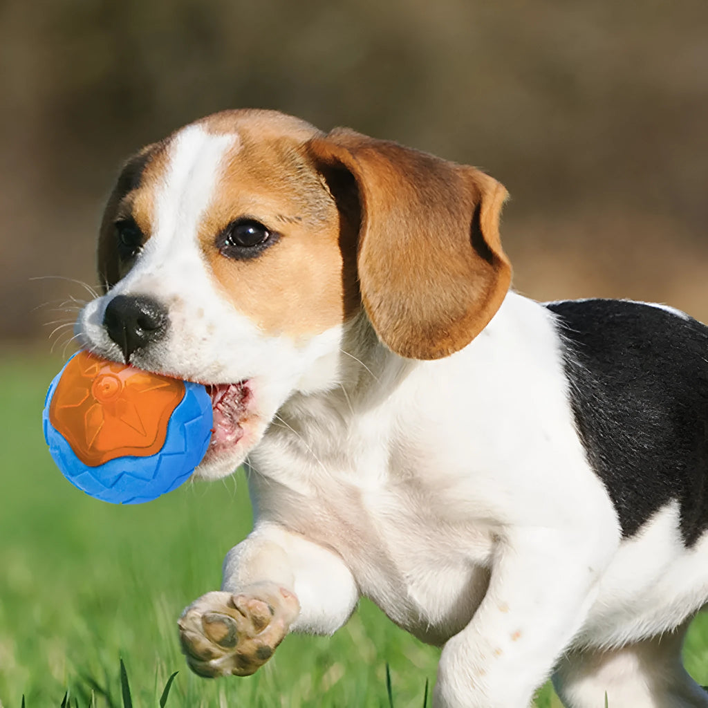 Blue dog toy ball 9 cm TPR material with squeak and glow features for chewing and fetch