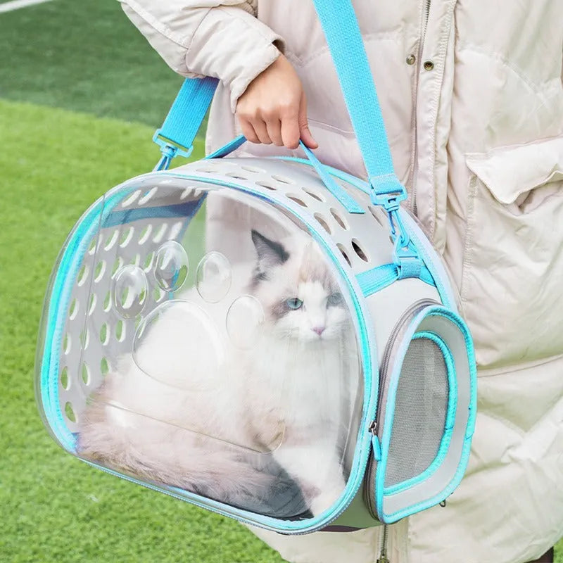 Transparent hard EVA cat carrier backpack in lake blue colour showing interior dimensions