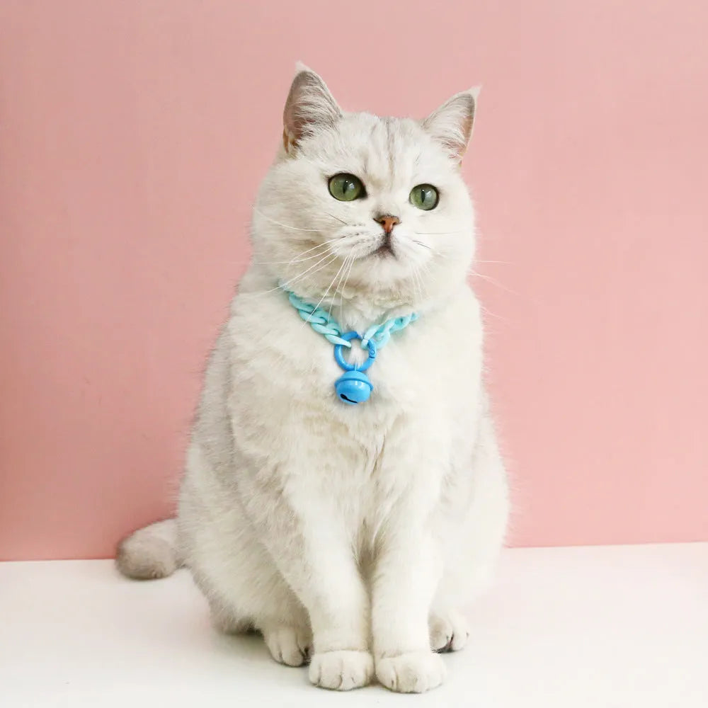 Macaron candy coloured plastic pet collar for cats, dogs and rabbits on a white background.