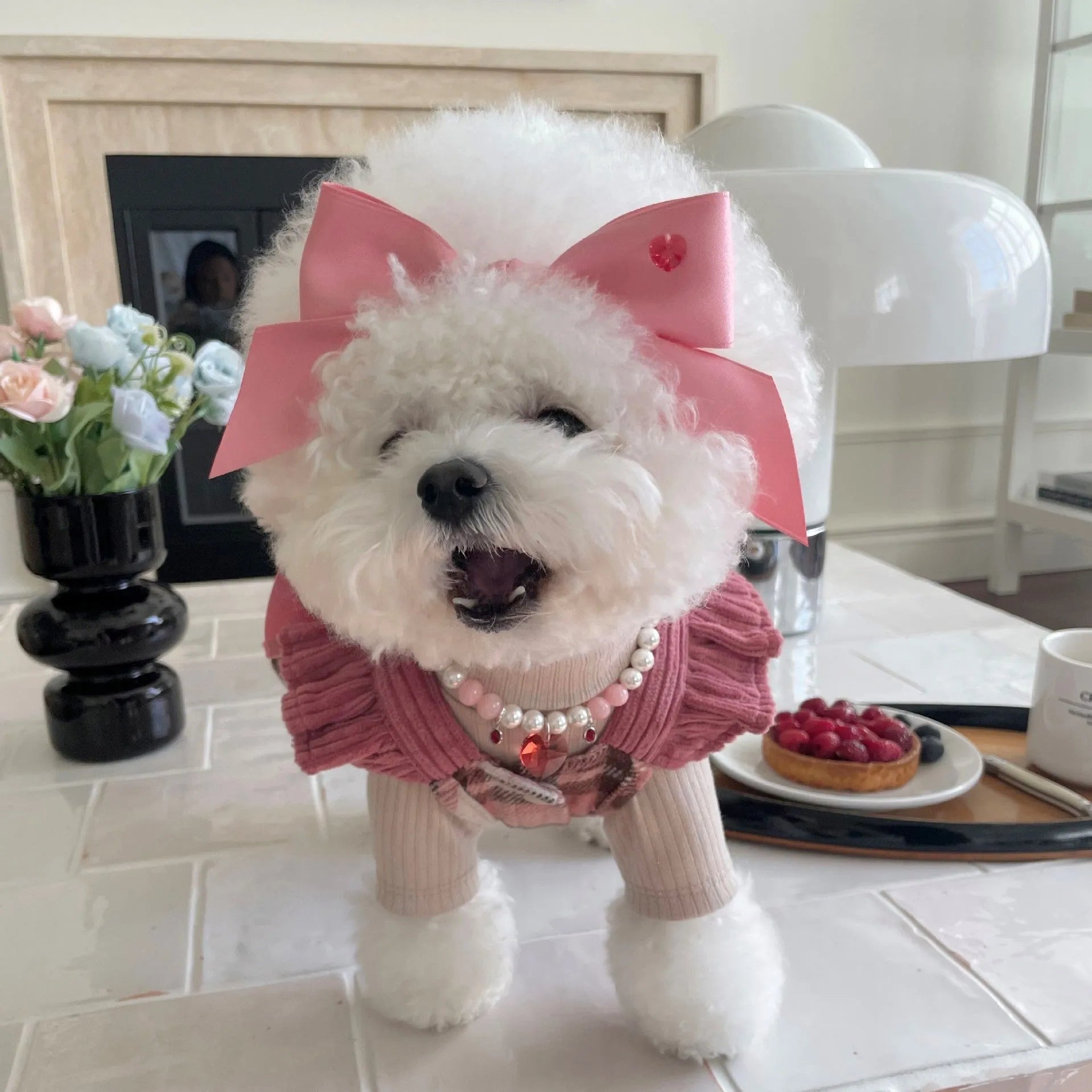 Blue princess style dog hair band with adjustable bow on a dog's head.