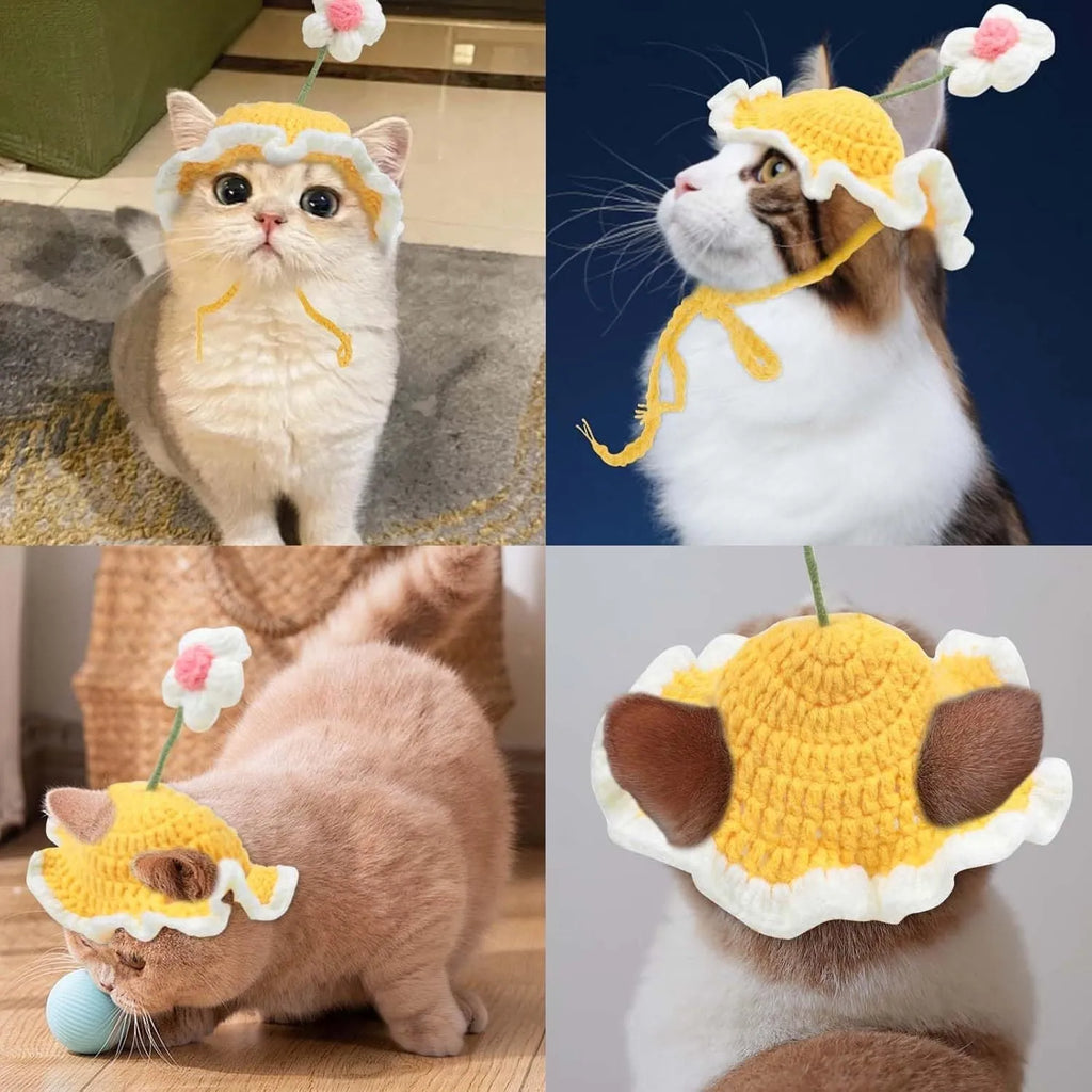Green pink yellow knitted cat dog hat with cartoon design for parties