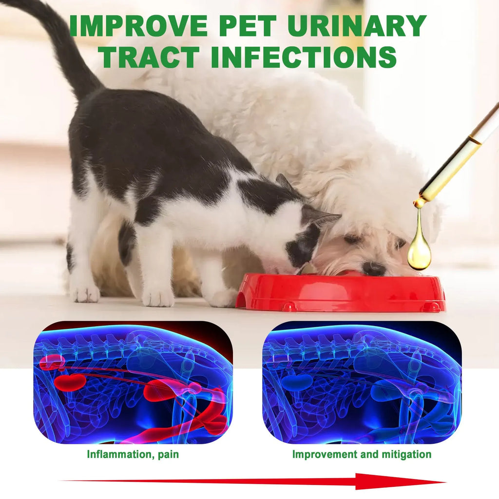 60ml pet pain relief liquid drops bottle with natural botanical extracts