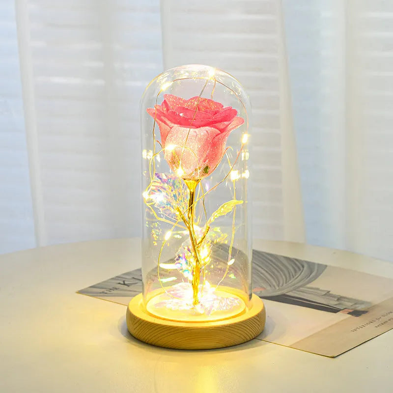 Eternal rose flower under glass cover with warm white LED strip light, six colour options
