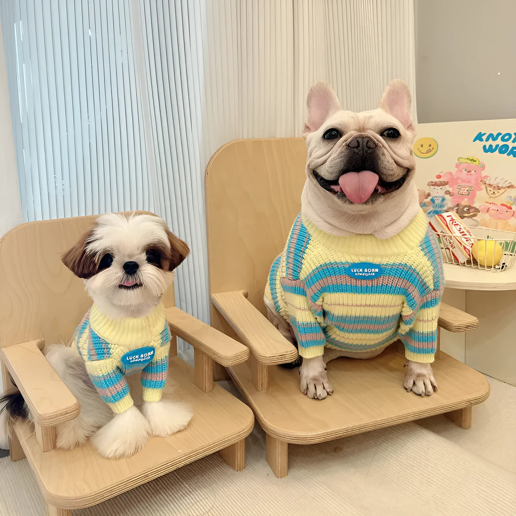 Blue and yellow stripe wool-blend dog sweater for small breeds like Bichon or Maltese.