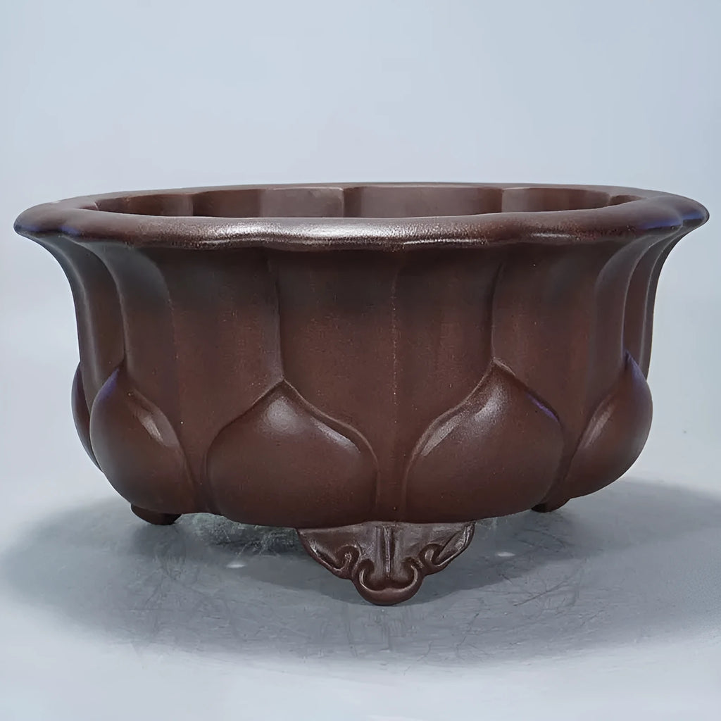Square purple sand succulent bonsai pot with classical petal basin design, dimensions 37cm by 37cm by 20cm.