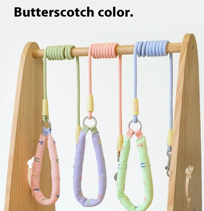 Polyester dog leash with hand holding rope section in four colour options
