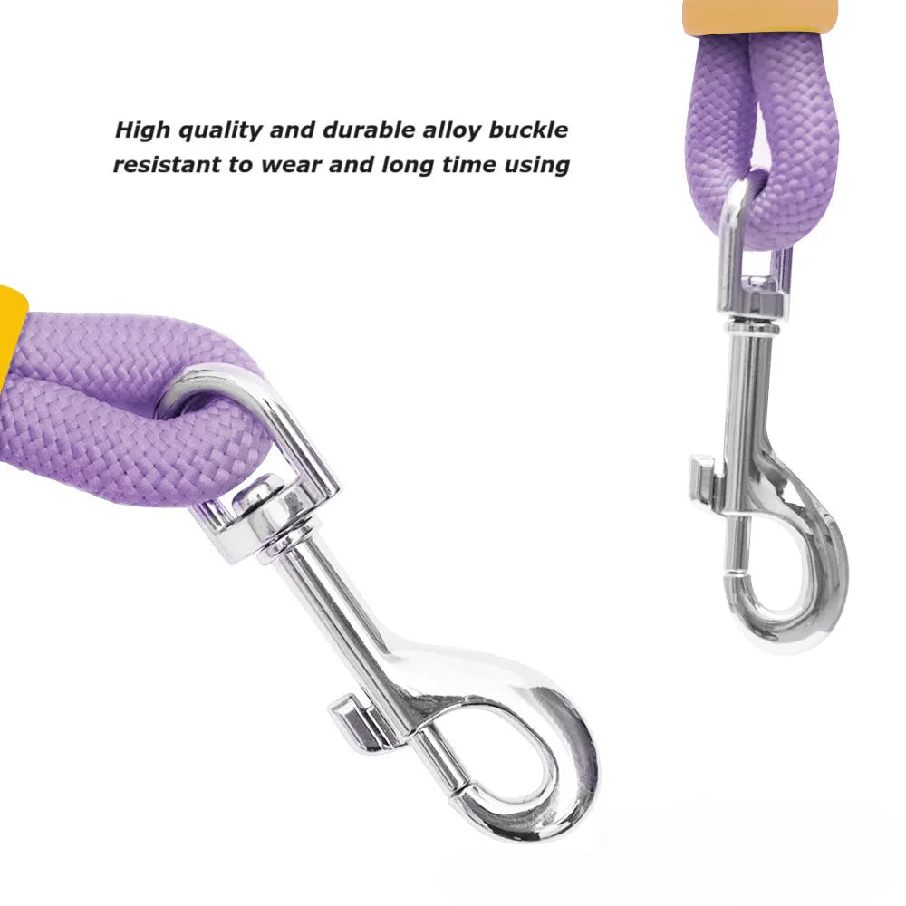 Nylon dog lead with foam handle showing black, light purple, sky blue and yellow colour options
