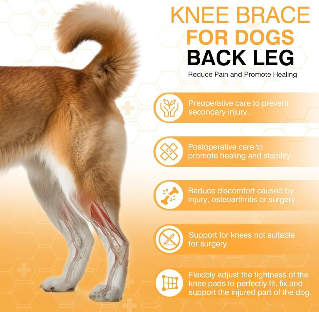 Dog leg protector knee brace auxiliary belt in sizes S M L for pet joint protection