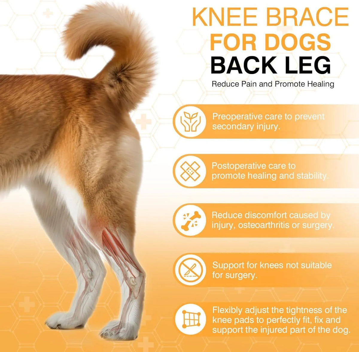 Dog leg protector knee brace auxiliary belt in sizes S M L for pet joint protection