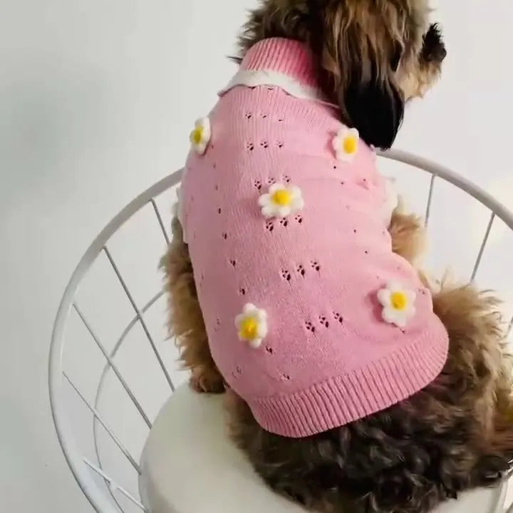Green floral pet sweater for a small dog, showing the stretch knit material and blossom pattern.