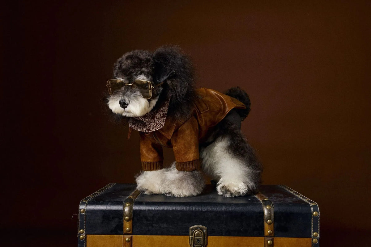 Brown PU pet leather coat with long sleeves and two-feet design for Schnauzers and Bichons, sizes XS to XXL