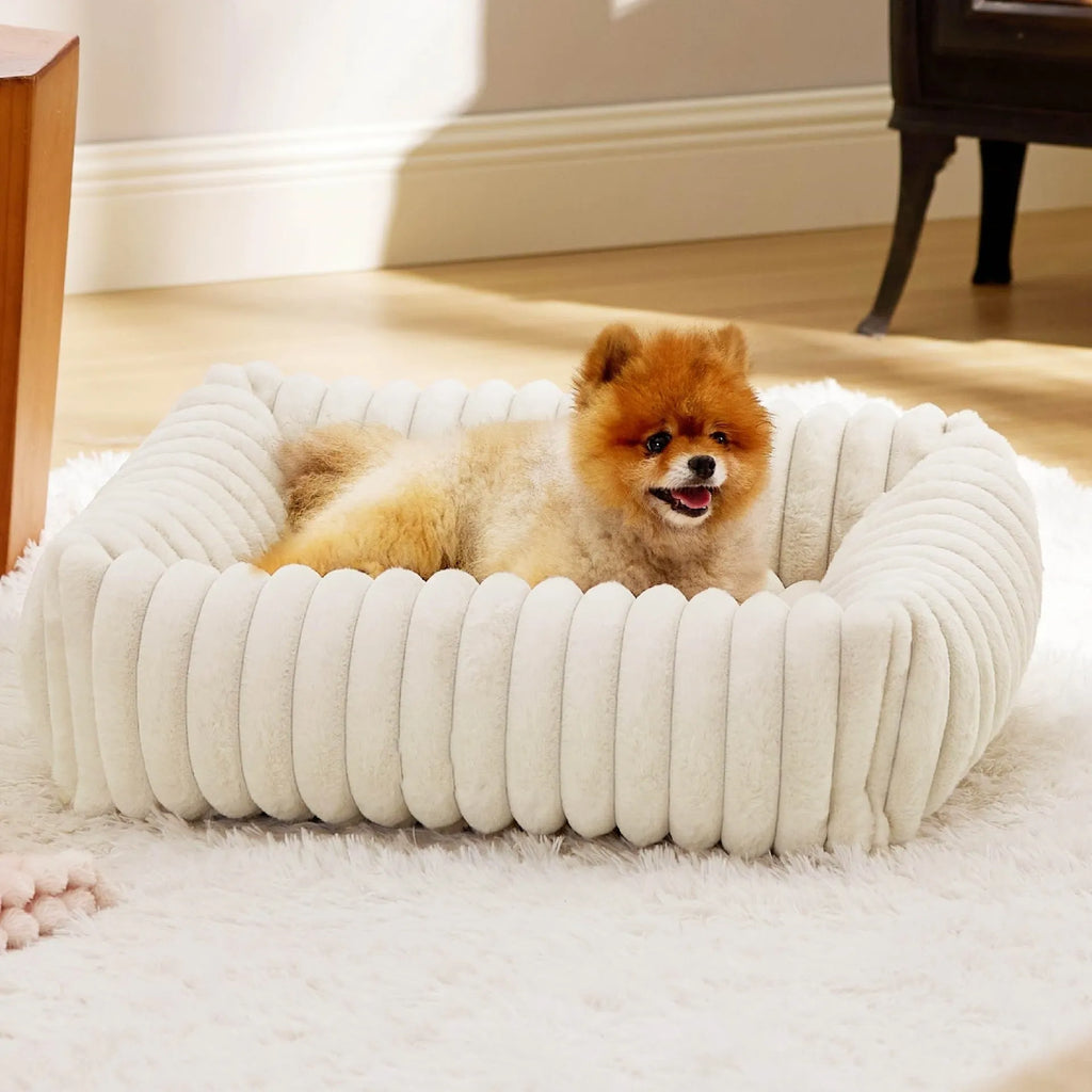 Beige raised cushion pet bed for a medium-sized dog on a wooden floor.