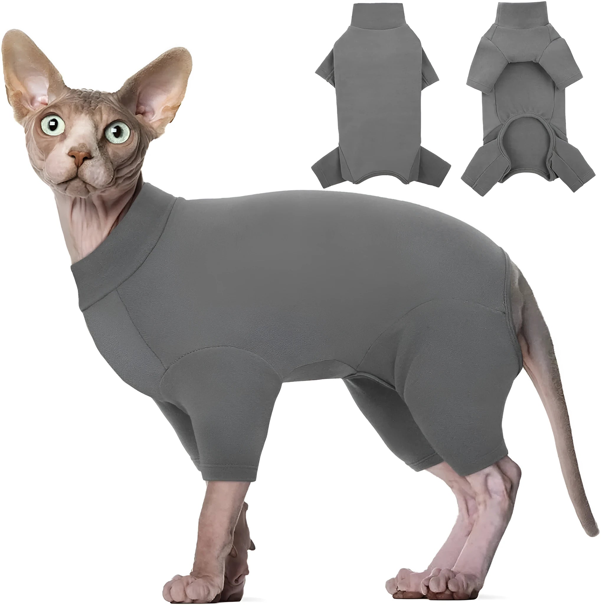 Hairless cat wearing soft turtleneck sweater with leg openings for winter warmth
