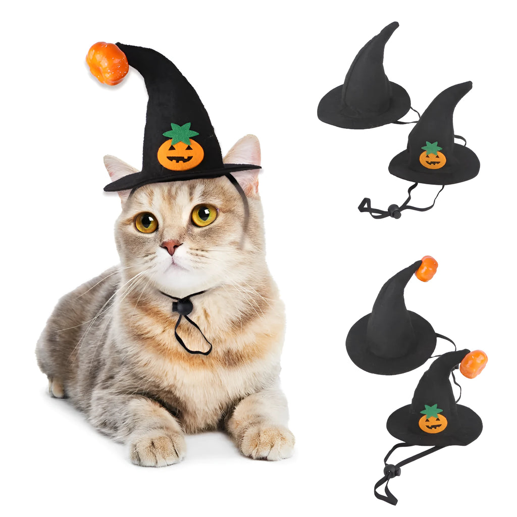 Pet cat wearing cloth Halloween pumpkin hat with embossed design details in free-size fit