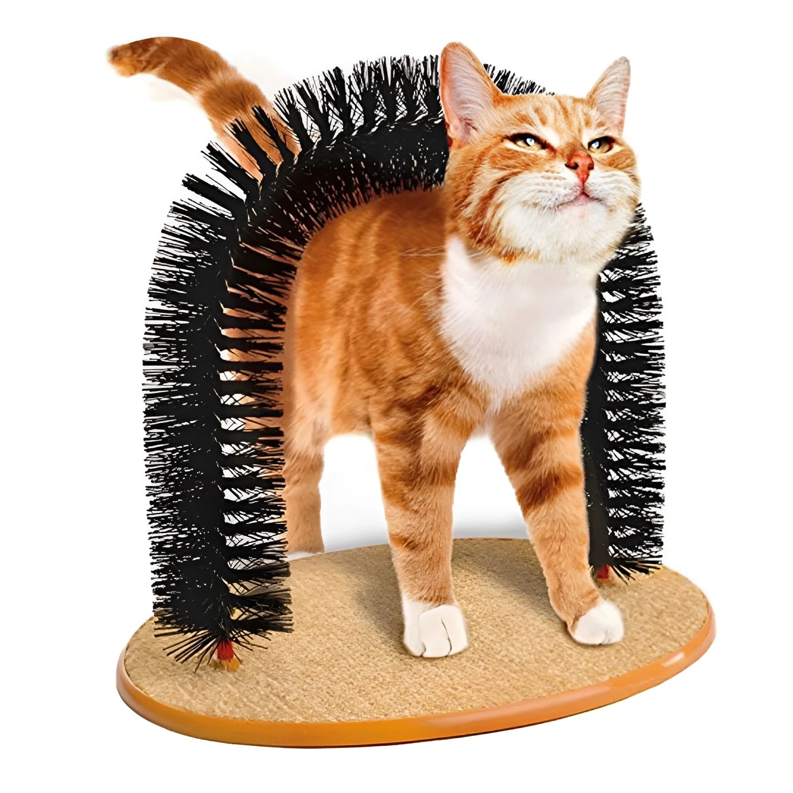 White plastic cat grooming arch with built-in brush bristles for scratching and rubbing.