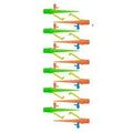 Ten plastic watering spikes 16.5cm long in green and orange for bottle-based garden irrigation