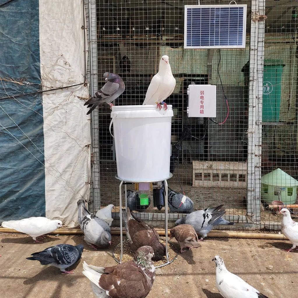 Solar panel automatic chicken and duck feeding machine with timer display and feed hopper
