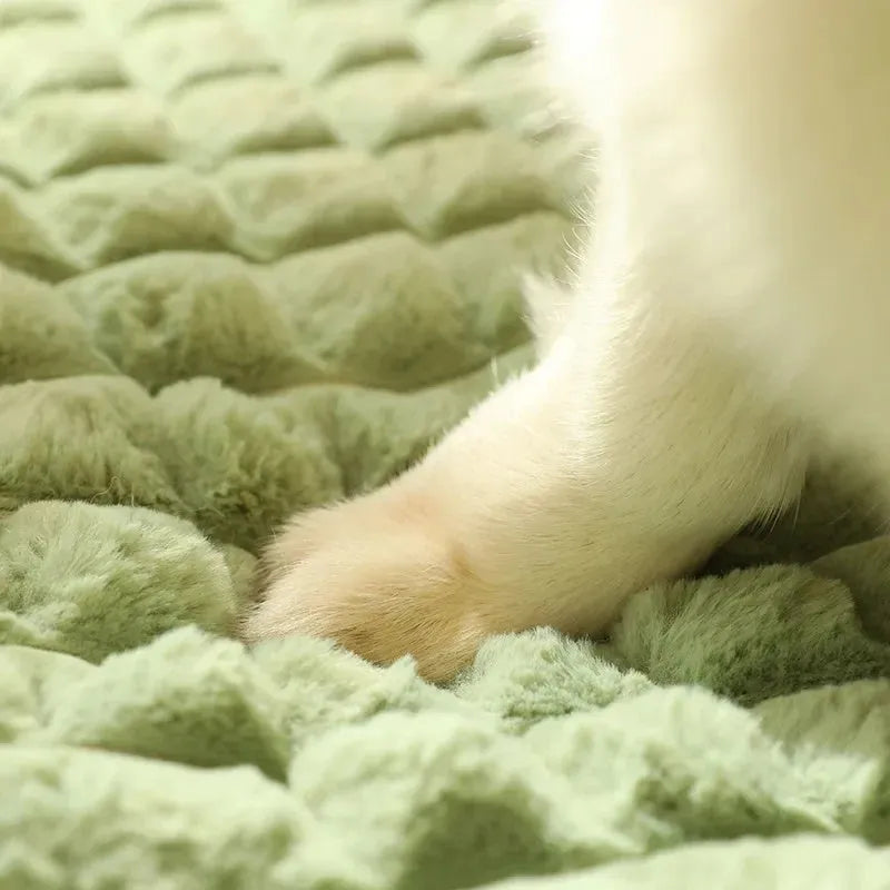 Washable dog bed mat with detachable cover in coffee colour, shown in large XXL size 100x70cm.