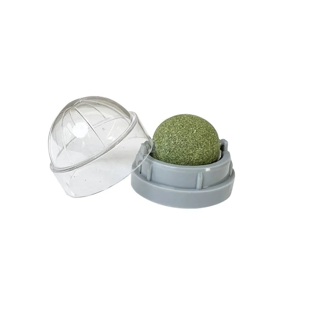 Plastic catnip ball toy in various colours with bite-resistant construction for cats
