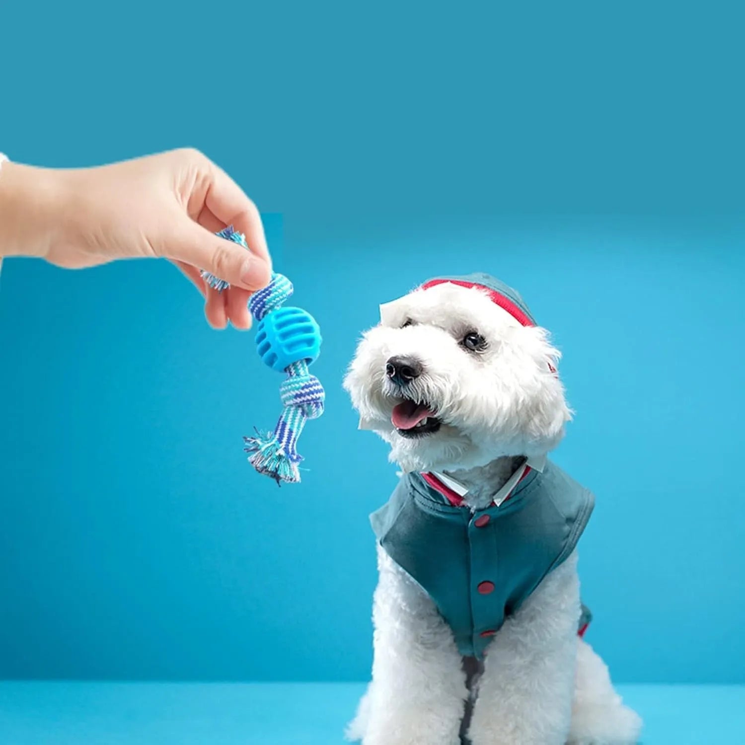 Blue soft dog chew toy with integrated rope for dental care and oral health.