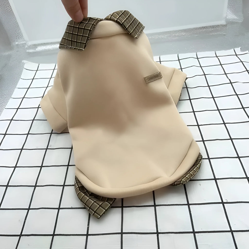 Two-piece grey dog sweater with detachable collar hoodie on canine model showing adjustable design