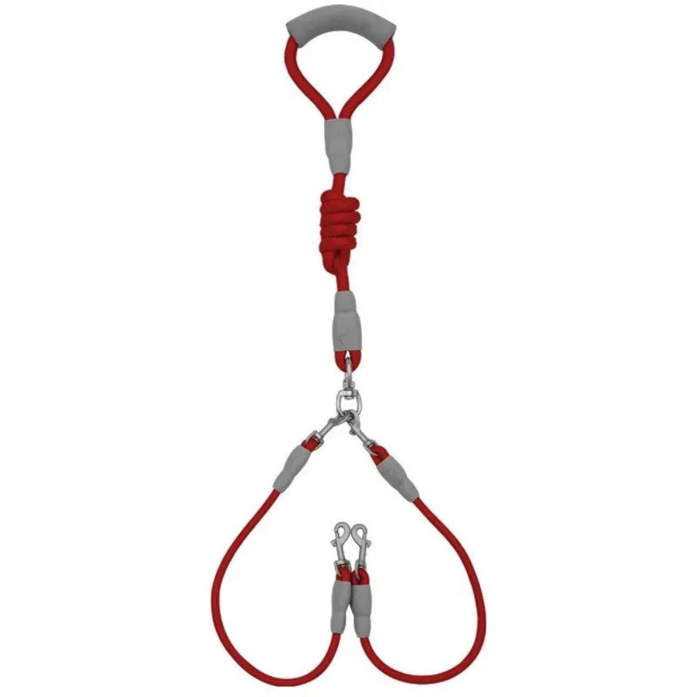 Blue double dog leash for two small dogs with a soft foam handle and metal clips.