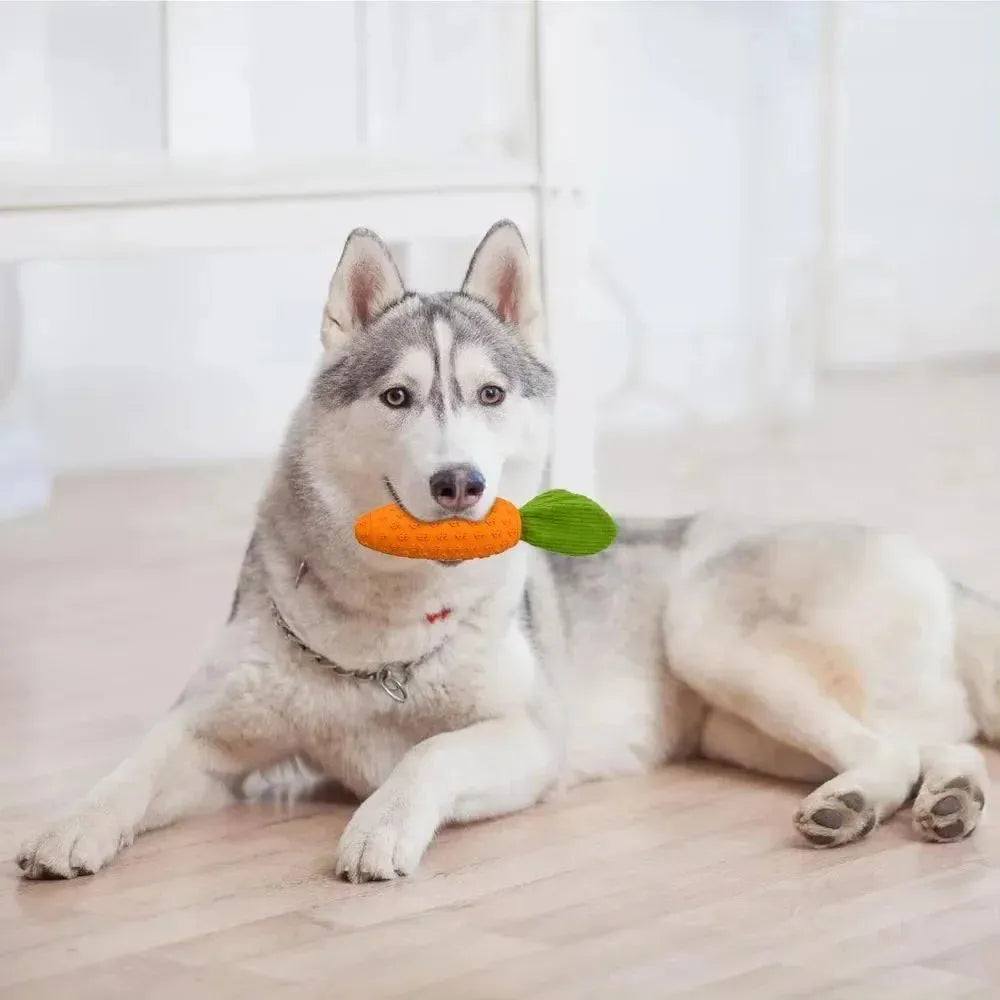 Orange carrot-shaped dog chew toy made of rubber and plush, measuring 21x5x5cm with a squeaker
