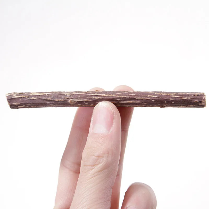 Pet Cat Molar Rod dental chew sticks for adult cats, 15g each, molar rod flavour, pack of 5
