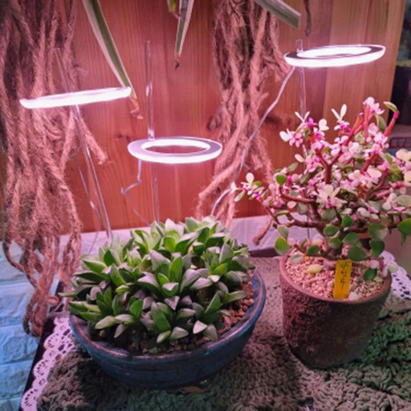 Compact 90mm angel ring LED grow light for indoor plants with USB cable connection