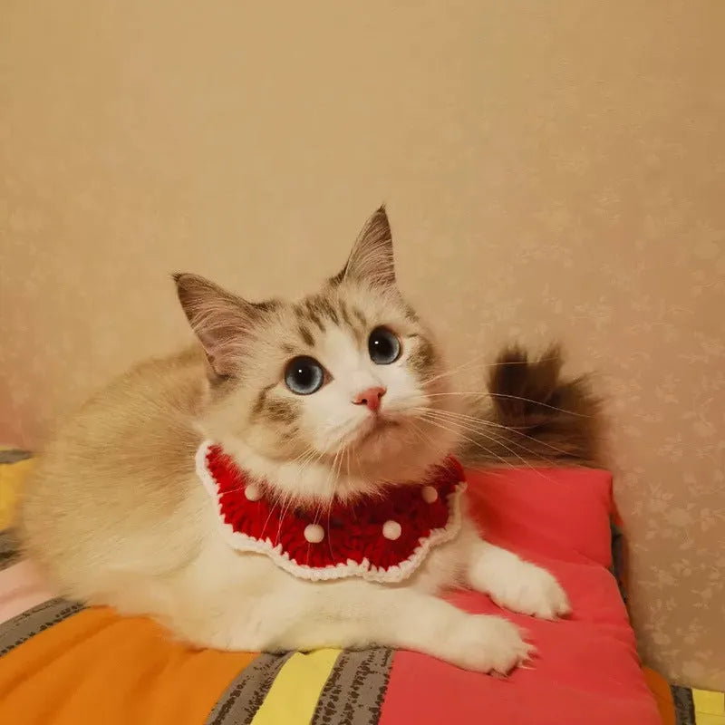 Knitted pet collar in milk cotton with a cartoon pattern, shown in multiple sizes.