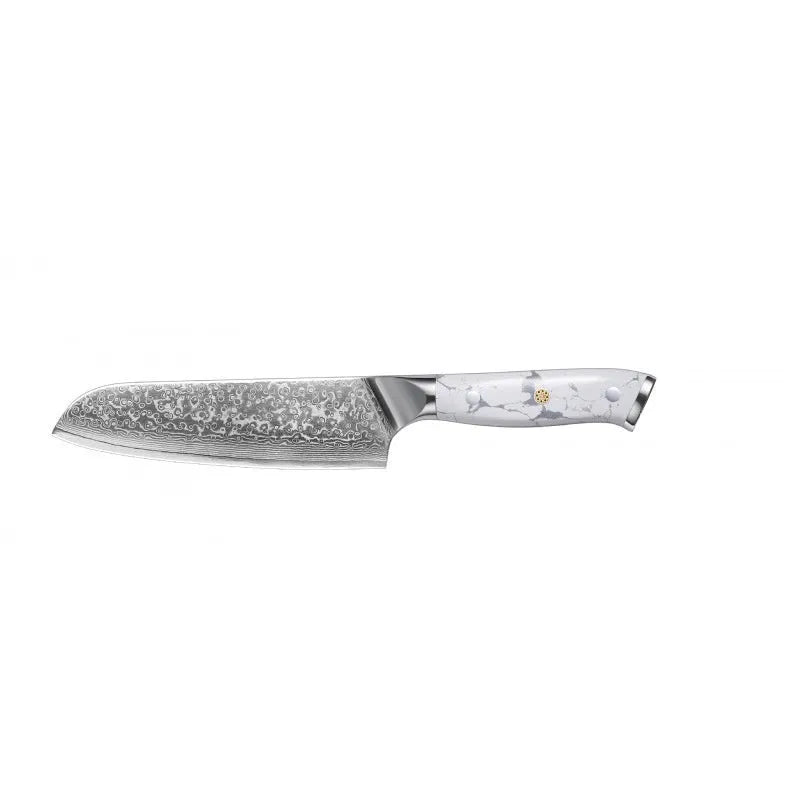 Damascus pattern VG10 steel chef knife with 21cm blade and modern handle