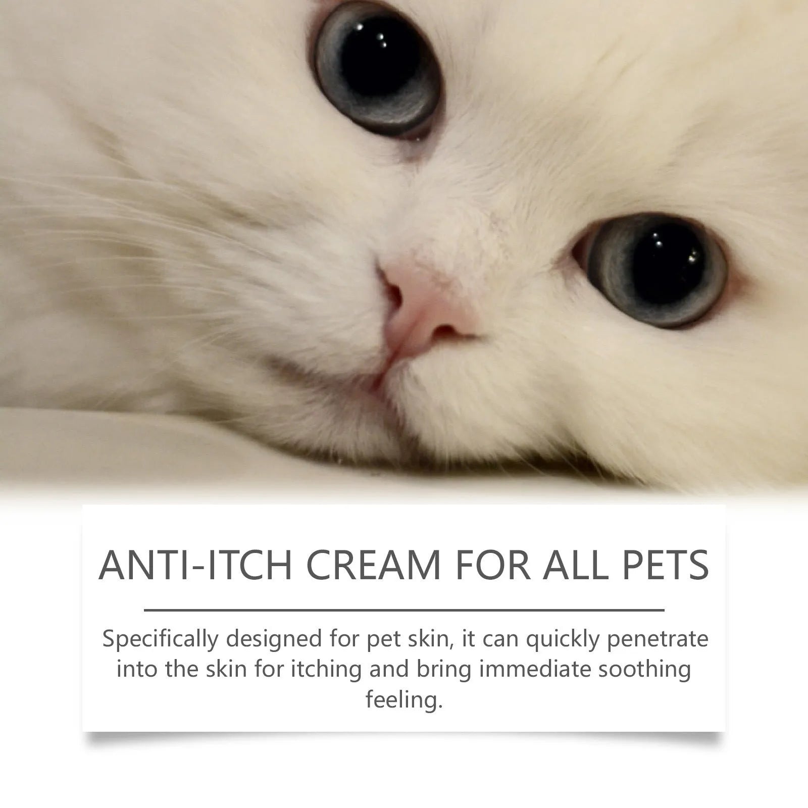 60g tube of antipruritic cream for cats with tea tree oil and aloe vera extract