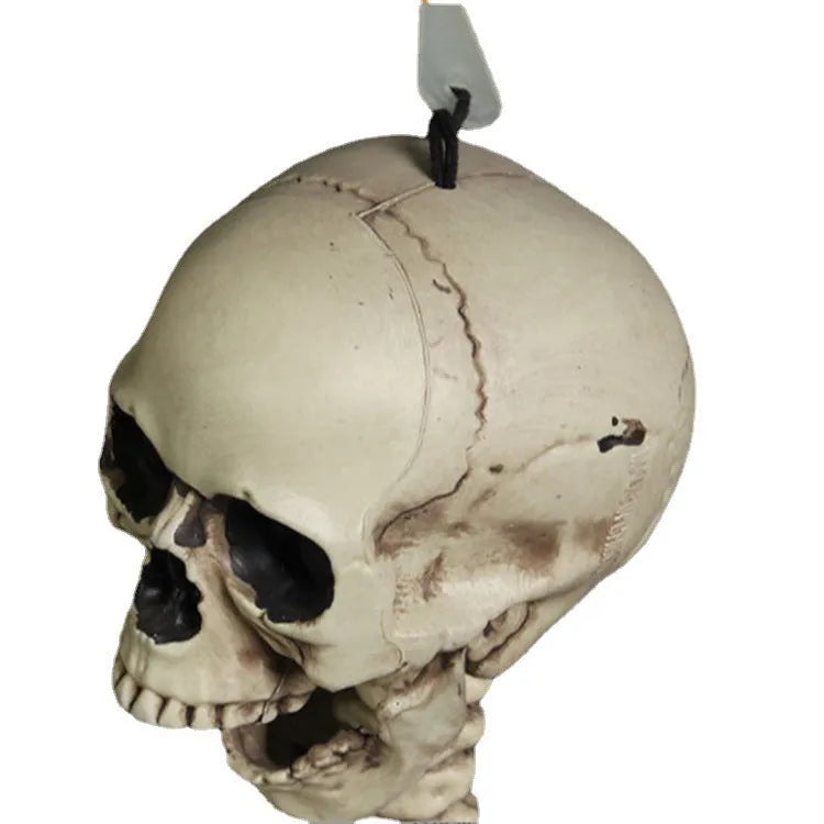 Full-size 170 cm tall plastic skeleton prop with detailed simulation skull on a white background.