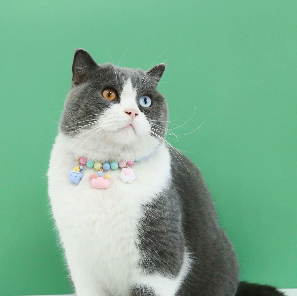 Macaron colour pet collar and bracelet set with resin crown and rabbit charms for small dogs and cats.