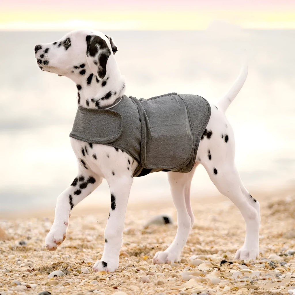 Heather Grey dog anxiety jacket or calming vest made from brocade cotton fabric.