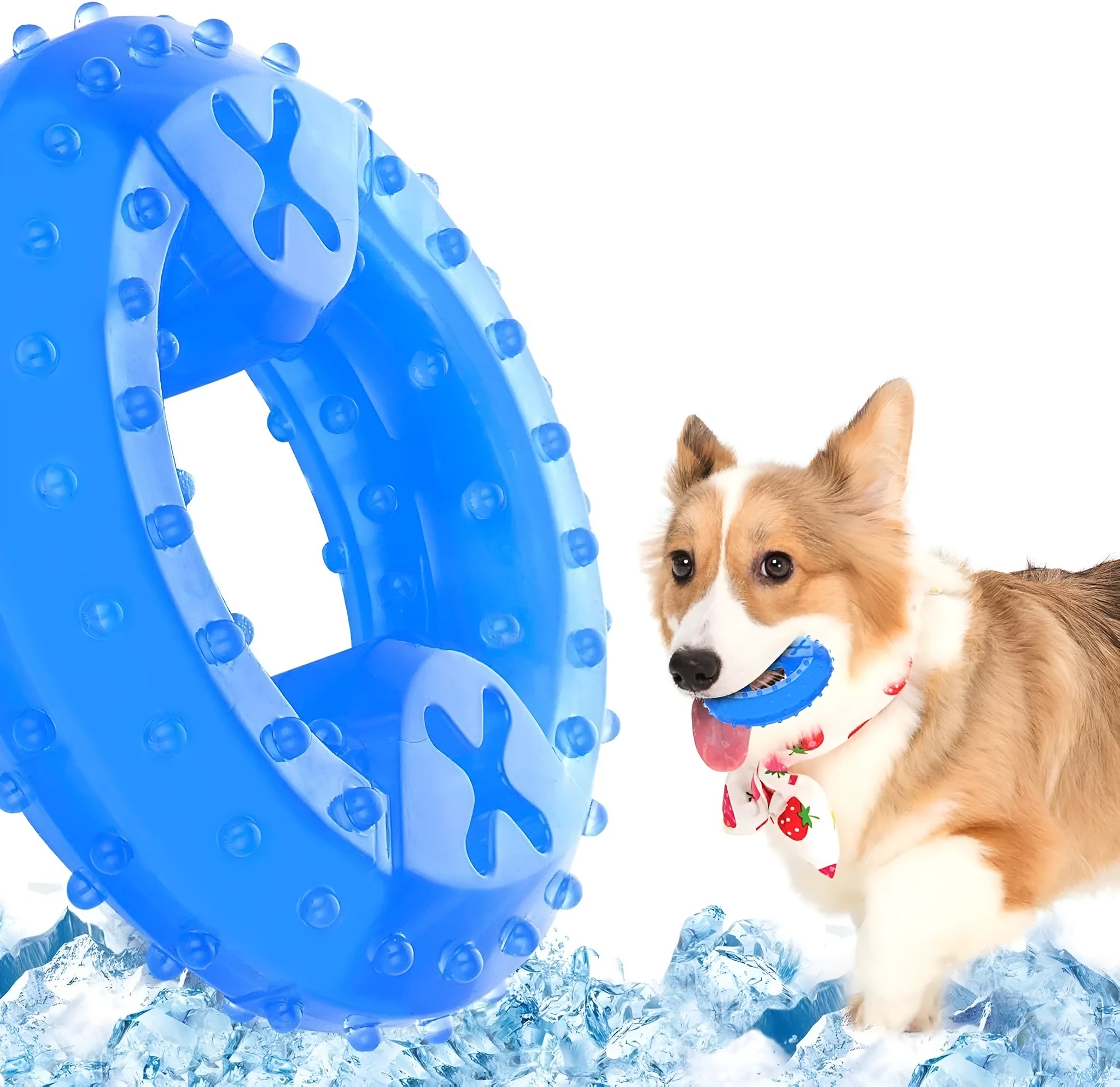 Freezable bone-shaped dog chew toy with a water-filled core for cooling and teething relief.