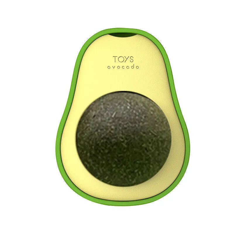 Avocado-shaped catnip wall toy attached to a smooth window with a silvervine ball for cat teeth cleaning
