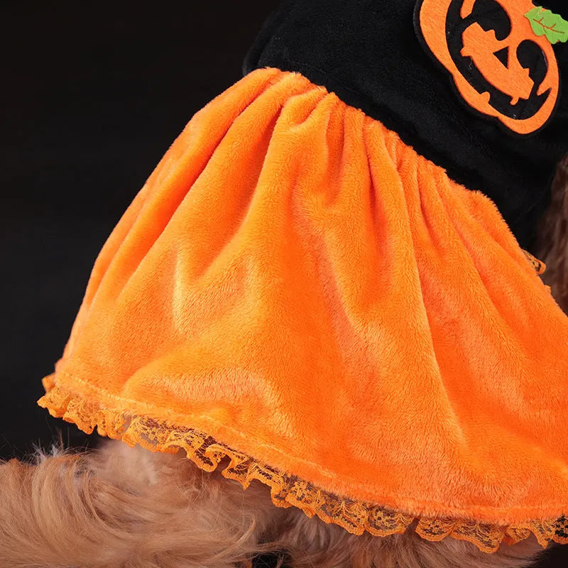 Halloween pumpkin skirt pet costume on small dog with crystal velvet material