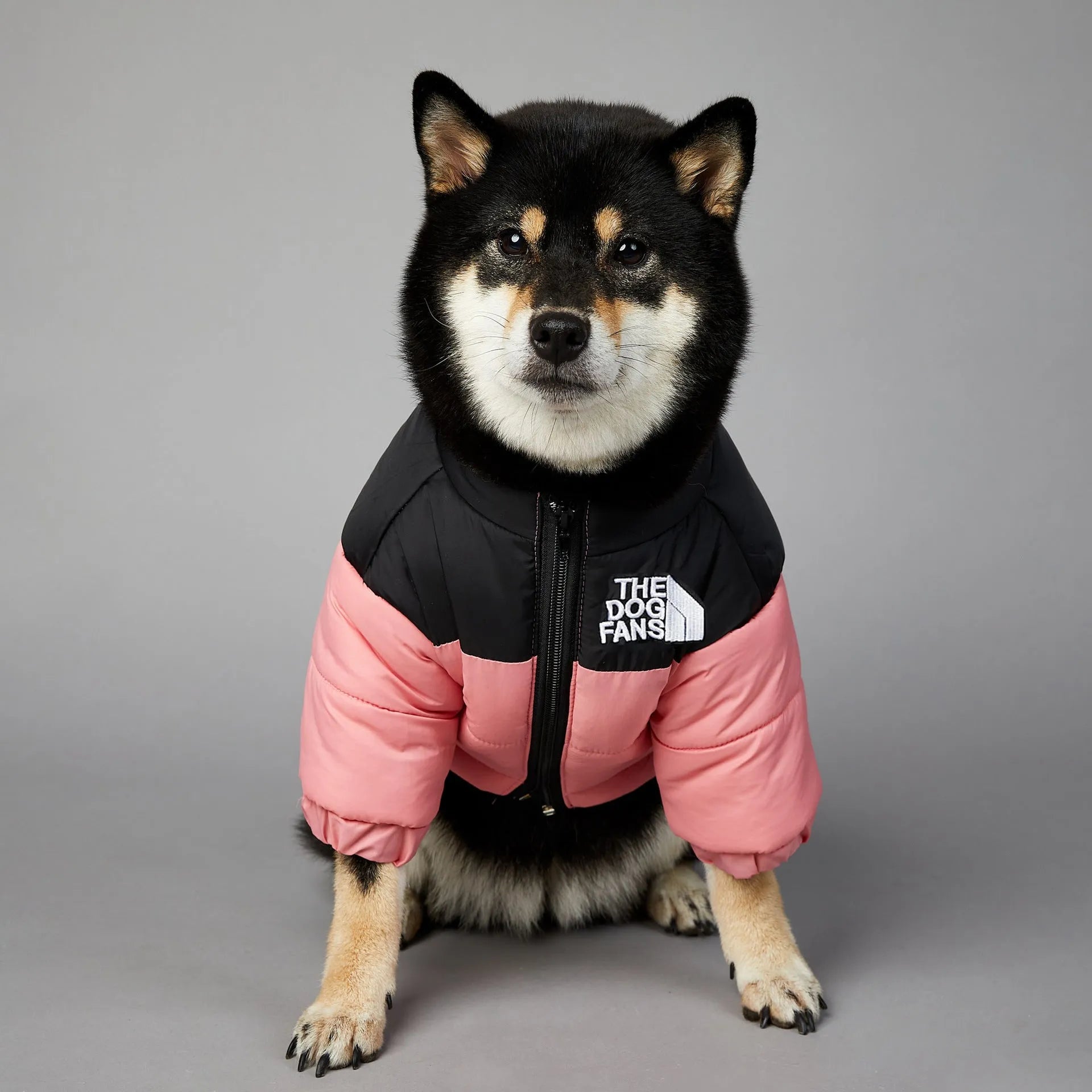 Windproof rainproof dog winter warm cotton-padded coat in polyester, sizes S to 5XL, multiple colours