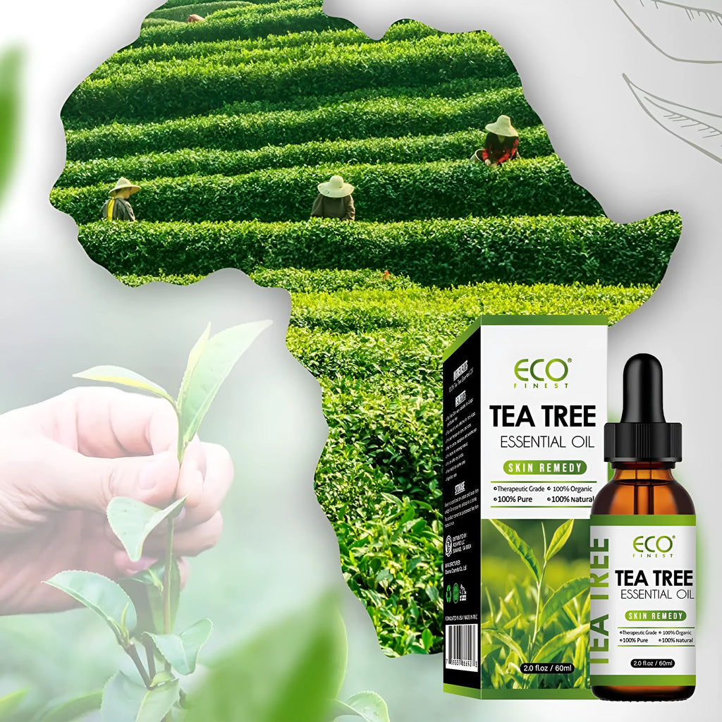 60ml tea tree essential oil bottle with dropper for facial skincare and massage