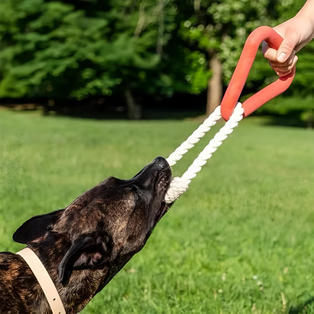 Triangular cotton rope dog pull toy in beige colour on wooden floor