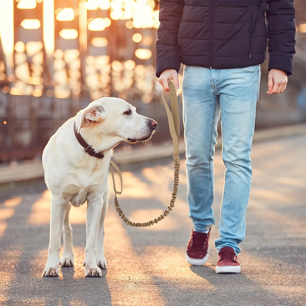 Retractable dog leash for large breeds with anti-burst technology shown in green colour.
