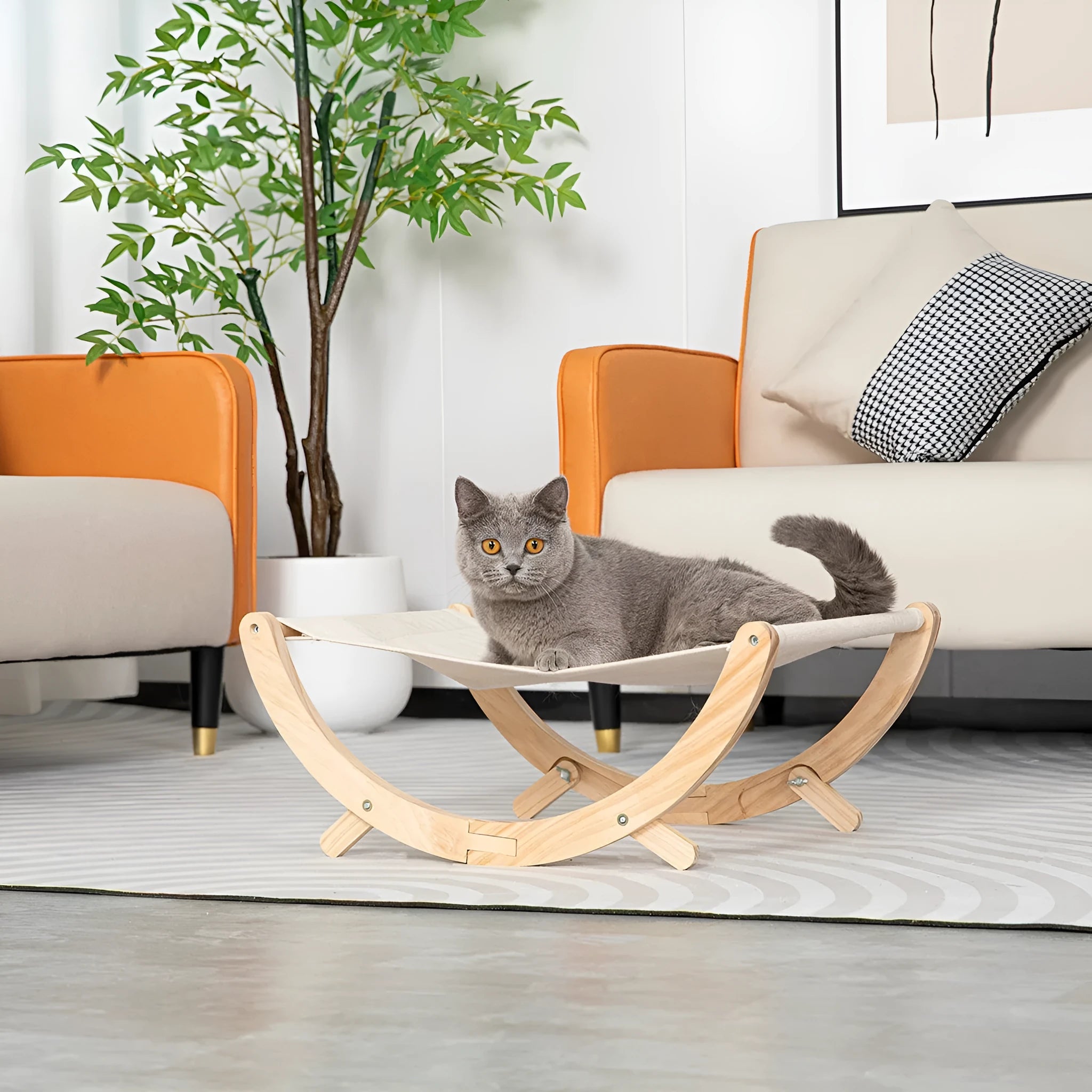 Solid wood foldable cat hammock bed with removable cover in canvas or plush options